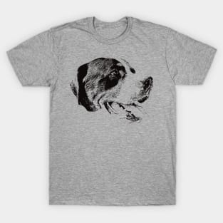 Great Swiss Mountain Dog gift for Great Swiss Mountain Dog Owners T-Shirt